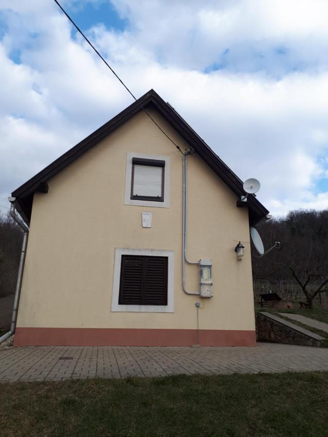 Kéknefelejcs Vendégház Tapolca Extérieur photo